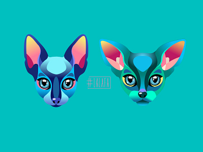 Cat and Dog. Sphynx and Chihuahua animals characters design dog illustration vector