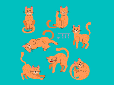 Ginger Cat animals cat characters design illustration poses set vector