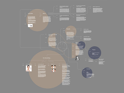 Feyclinic Information Scheme infographic information architecture web design