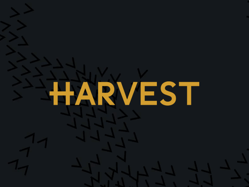 Harvest agency brand gold graphic design identity marketing responsive visual web design