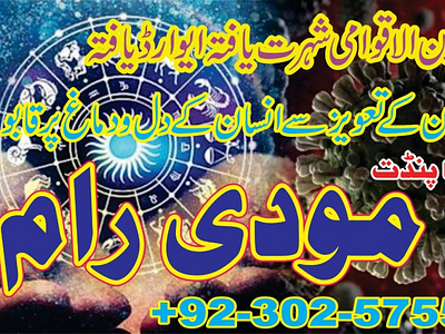 best astrologer in pakistan online