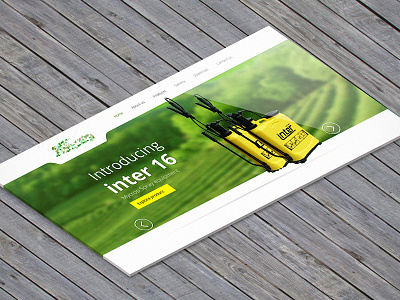 Insecticide website re-design in progress green insecticide isometric nature spray web white yellow