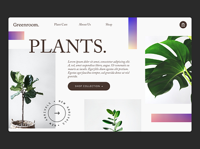 Plant Store Landing Page branding clean design ecommerce landing minimal plants shopify shopping store web