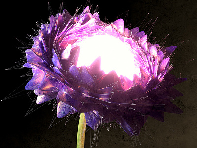 Flowerbomb c4d dailyrender everyday flower neon octane photoshop pink purple render