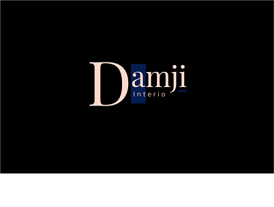Damji Interio branding colors concept art creative design logo typography