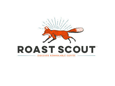 Roast Scout branding coffee fox logo