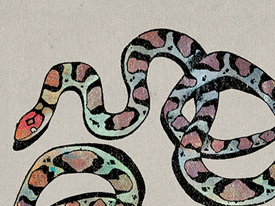 Scarlet Snakes illustration photoshop scarlet snake snakes texture