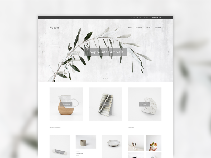 Prosper dribbble