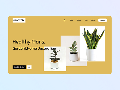 Flowers Shop flowers plants ui ux web yellow