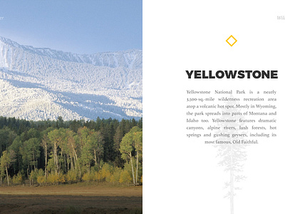 Yellowstone Park Cards by Alex Cristache on Dribbble