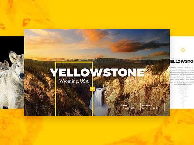 Yellowstone Park Cards america card cards design info park ui usa user interface web web design yellowstone