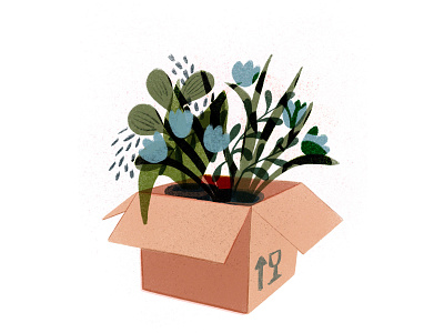 Box With Plants art artwork botanical design digital illustration editorial editorial illustration illustration plants portfolio