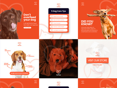 Social media - Dog and pet care