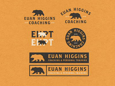 Bear Badge Design badge bear branding coaching design gym illustration personal training typography vintage
