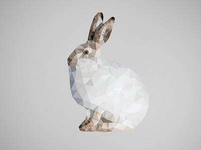 Poly Hare delaunay low poly mountain hare poly polygon triangulation