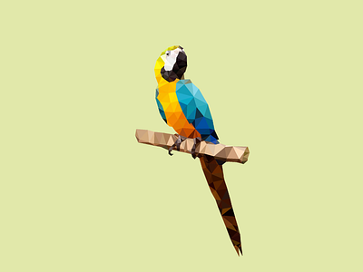 Low Poly Macaw