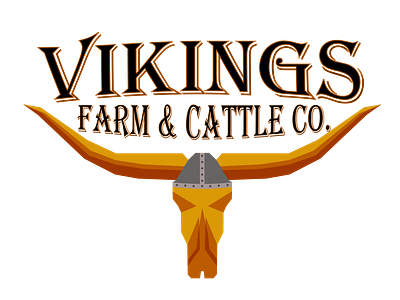 Vikings 3