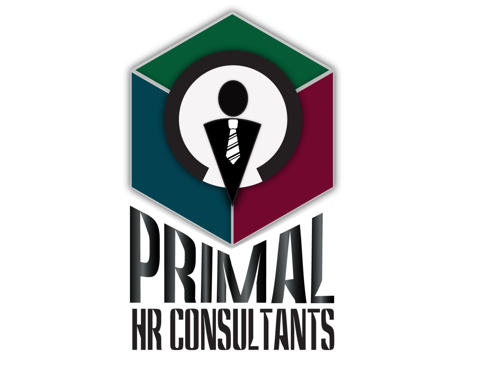 primal-hr-consultants-final-by-ashir-ali-khan-on-dribbble