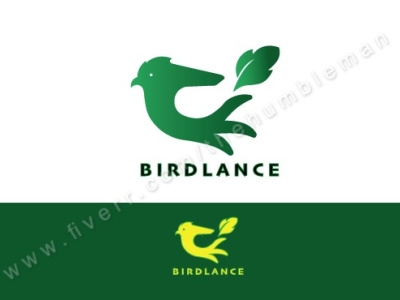 birdlance art branding design flat graphic design illustration illustrator logo minimal vector web