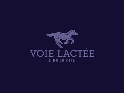 Voie Lactée brand branding cosmos flat galaxy horse identity logo logotype sky star vector