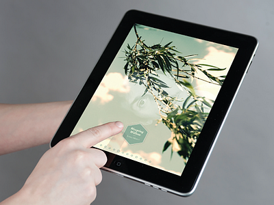 Plant Michigan iPad app app application interactive ipad plant plant identification plants ui user experience ux
