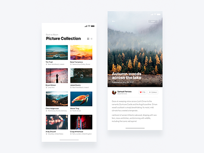 Social photo app - Daily UI Challenge 12/365 clean interaction design ixda photo photo app ui ui design user experience user interface ux ux design web design