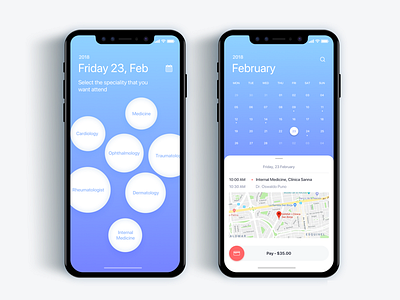 Appointment with a doctor app - Daily UI Challenge 45/365 appoinment booking clean doctor interaction design iphonex ui user experience ux ux design
