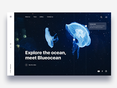 Landing page diving in ocean - Daily UI Challenge animal clean dark ui interaction design langing page ui user experience user interface ux visual design web design website
