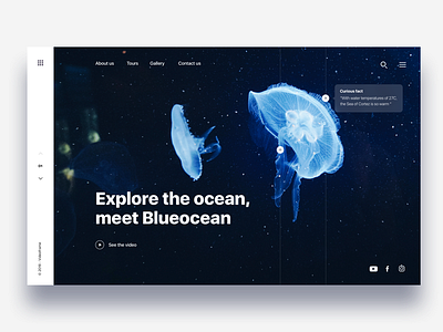 Landing page diving in ocean - Daily UI Challenge