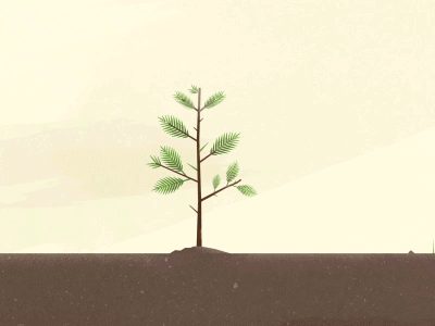 Branching Out 2d animation branch down the street designs forest gif motion graphics redwood tree
