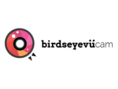 birdseyevü cam app bird branding camera design flat icon logo owl web design