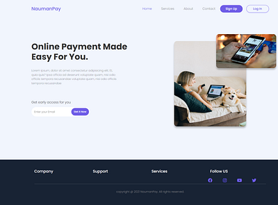 Online Payment web design