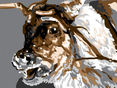 WIP Reindeer Head fur illustration illustrator reindeer siberia sledge