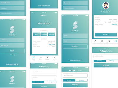 iOS Application Design for SnapPay