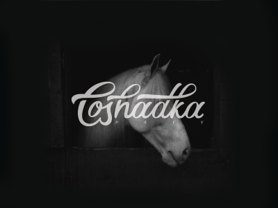 Loshadka p r t y artist design font horse lettering logotype loshadka print type