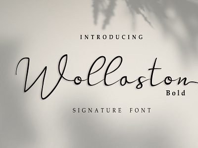 wollaston bold adobe illustrator calligraphy font font design logotype