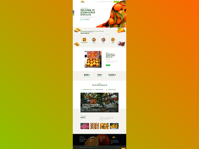Zoom Citrus Website ui ux web design web development website design