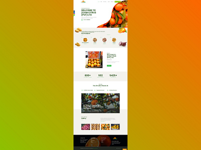 Zoom Citrus Website