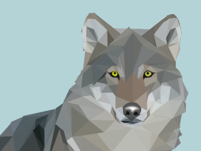 Wolf polygons