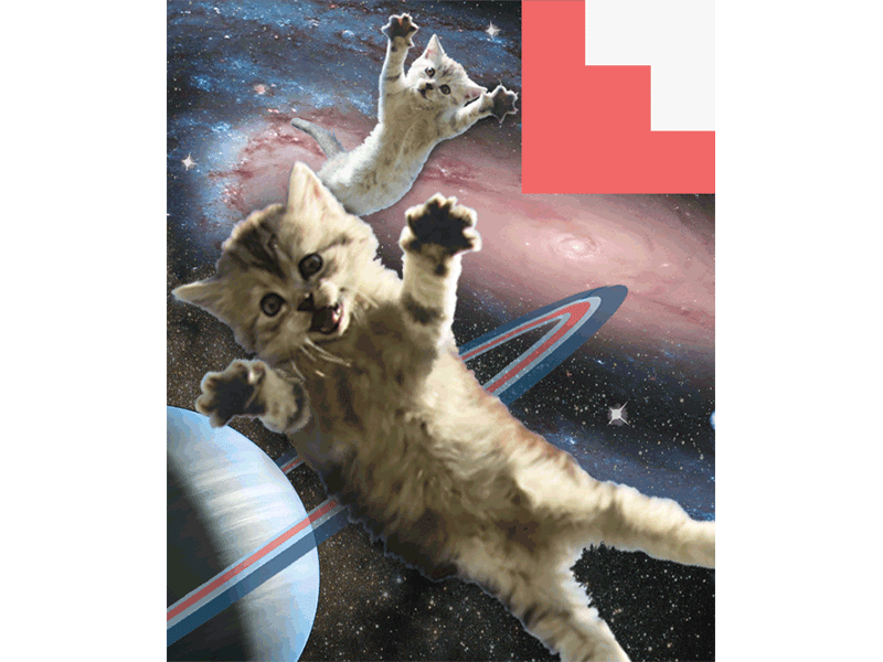 Cat Space Lenticular cat gif giphy space sticker