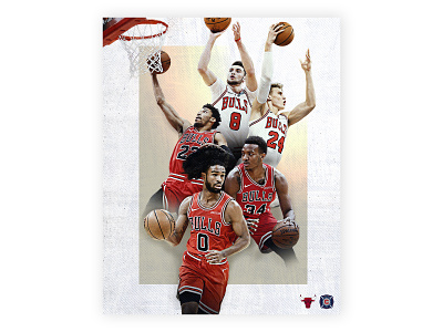 Chicago Bulls Graphic basketball bulls chicago chicago bulls chicago sports sports sports graphics