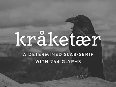 [FREE] Kråketær – Typeface crow download font freebie typeface typography