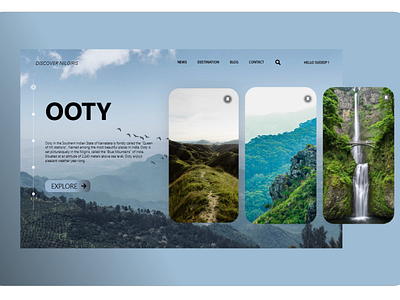 DISCOVER NILGIRIS Ux app branding design minimal ux website