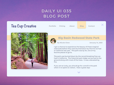 Daily UI 035 blog post
