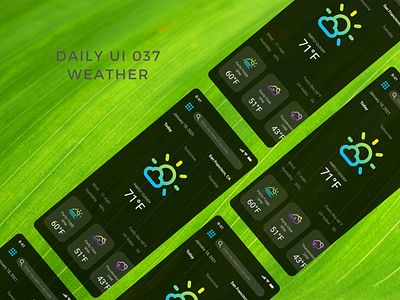 Daily UI 037 weather