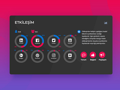 Data Visualization Presentation Page