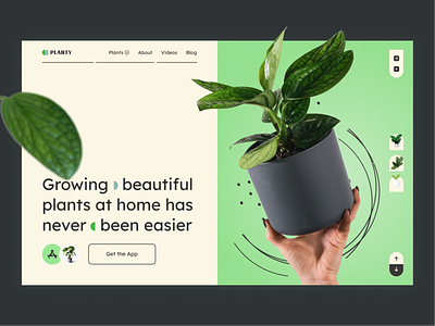 Planty — Plants Shop Landing Page cactus commercial design flower garden landing online plant pot shop trend ui uiux ux web