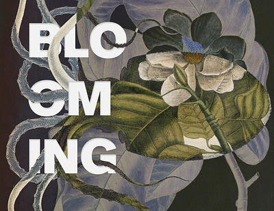 Graphic Concept for Blooming Festival 2020 botanic branding design floral graphicdesign identity design illustration