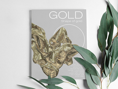Shape of Gold 3d art book book cover cover design editorial editorial art editorial design gold graphicdesign magazine