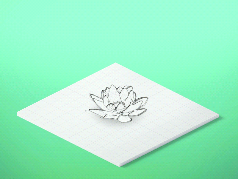 Ô Green • Sacred Lotus 3d aftereffect animation c4d capsule drink gif japanese leaf tea webgl